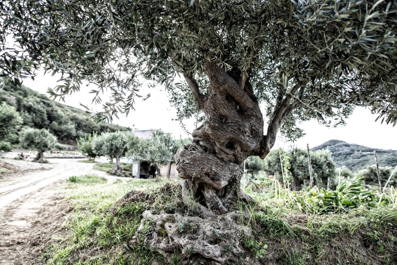 Borgo Rosso Di Sera Resort San Lucido Exterior foto